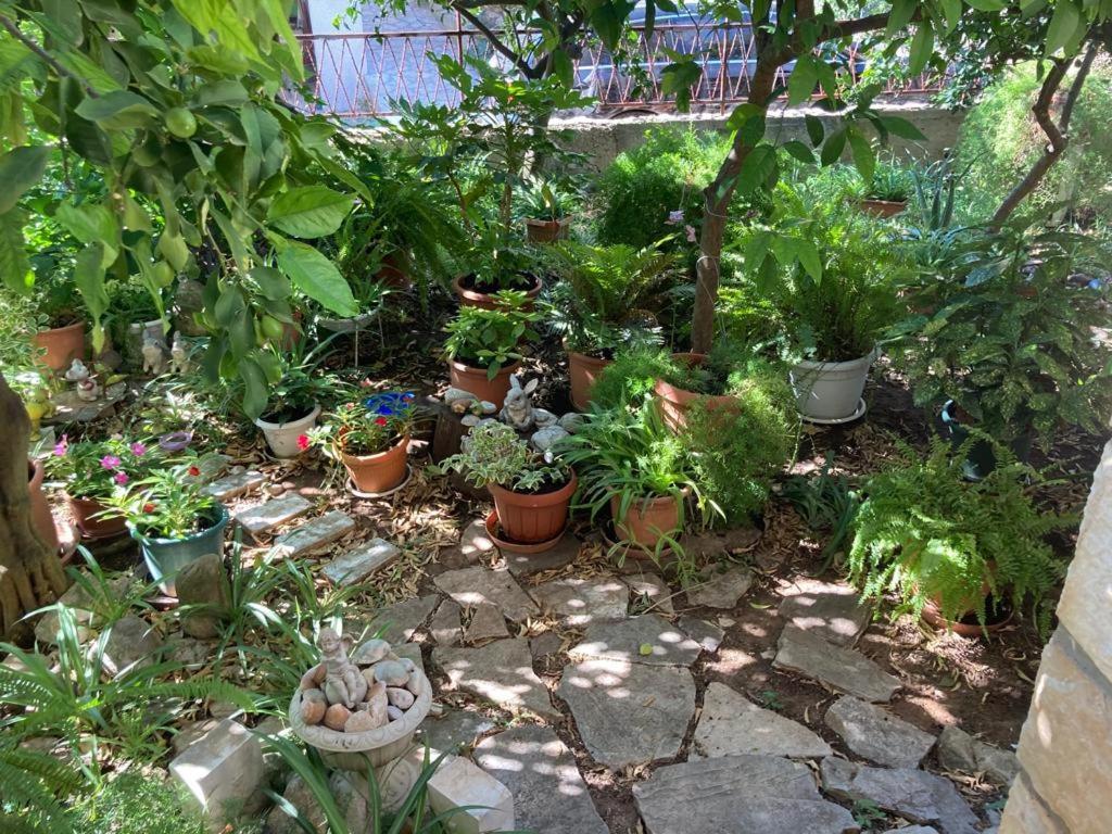 Villa Marga 耶尔萨 外观 照片